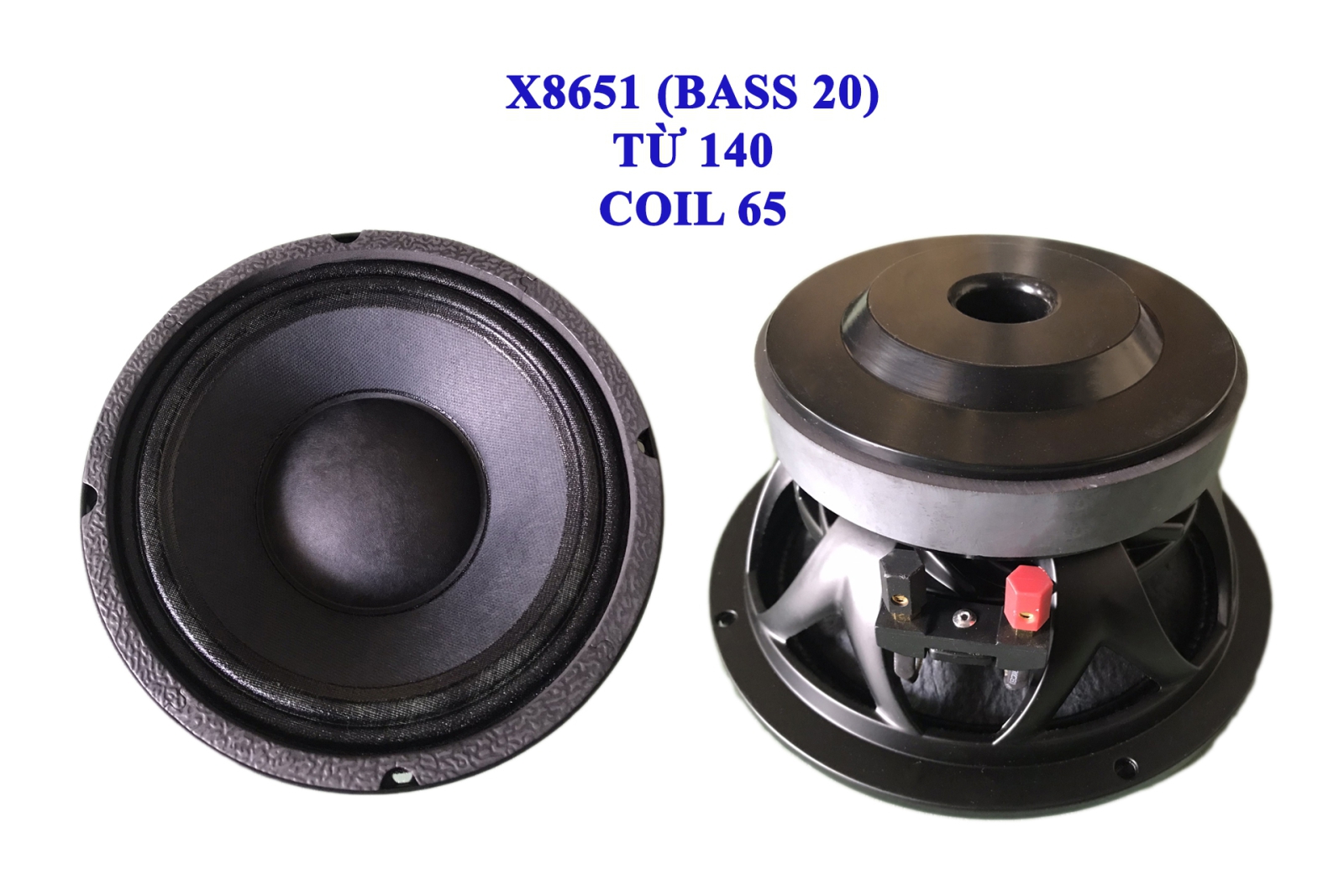 bass 20 NHẬP KHẨU | THIÊN PHÚ AUDIO | AUDIO THUẬN AN BÌNH DUONG ...