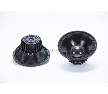 Bass 30 từ neodymium 12NS2S