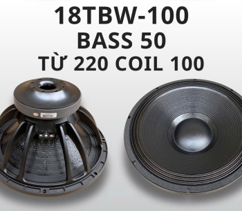 Bass 50 từ ferrite  18TBW100