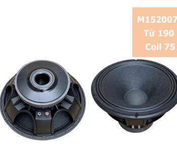 Bass 40 từ ferrite M1520075