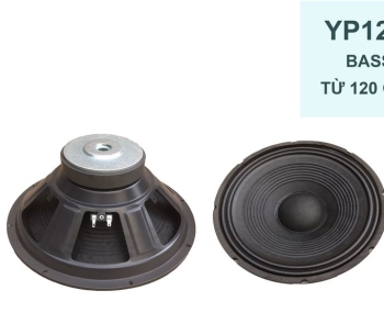 Bass 30 từ ferrit YP12-120