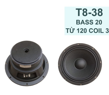 Bass 20 từ ferrit  205-8