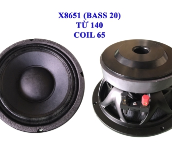 Bass 20 từ ferrit  X8651