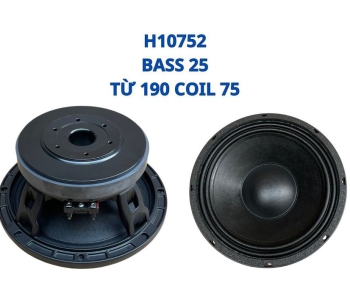 Bass 25 từ ferrite  H10752