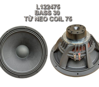 Bass 30 từ Neodymium L122475