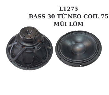 Bass 30 từ Neodymium  L11275