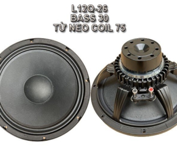Bass 30 từ Neodymium  L12Q-26