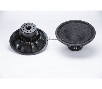 Bass 40 từ neodymium P15100NSW