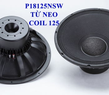 Bass 50 từ neodymium P18125NSW