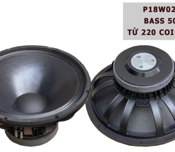 Bass 50 từ ferrite  P18W02V