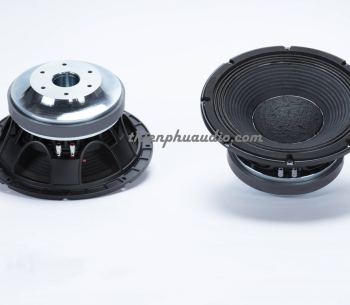 TỪ FERRITE BASS 30 TY-12