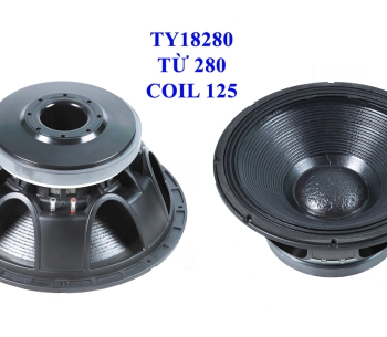Bass 50 từ ferrite TY18280