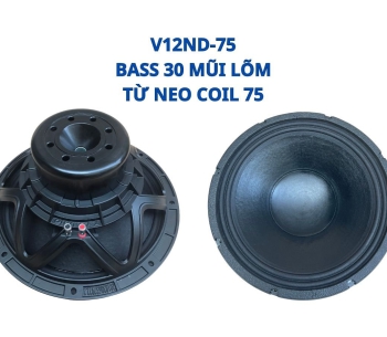 Bass 30 từ neodymium V12ND75 