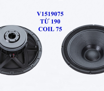 BASS 40 TỪ FERITE V1519075