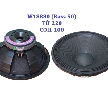 Bass 50 từ ferrit W18880