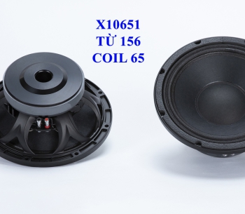 Bass 25 từ ferrite X10651