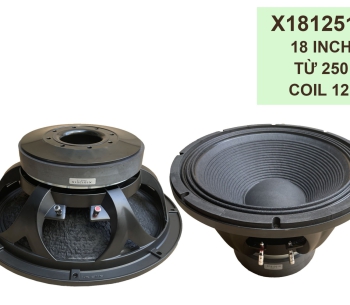 Bass 50 từ ferrite  X181251S