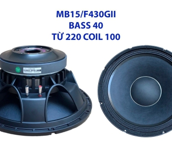Bass 40 từ ferrite  MB15/F430GII