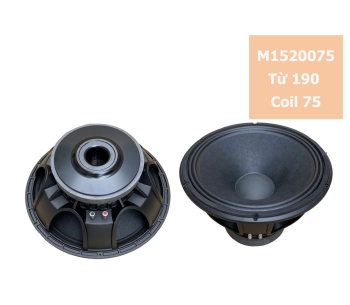 Bass 40 từ ferrite M1520075