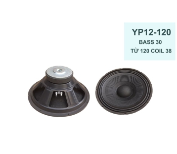 Bass 30 từ ferrit YP12-120