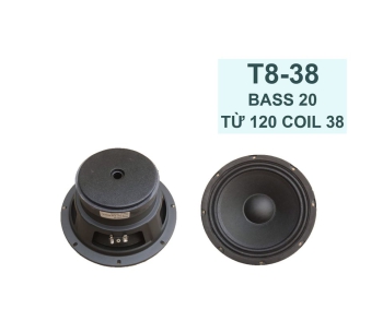 Bass 20 từ ferrit  205-8
