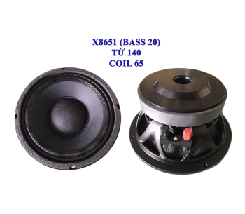Bass 20 từ ferrit  X8651