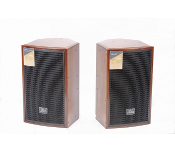 LOA SHIDUN 3 TẤC - CP122S