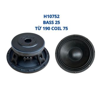 Bass 25 từ ferrite  H10752