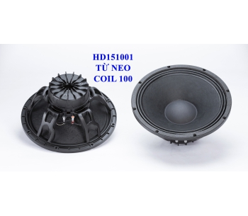 BASS 40 TỪ NEO HD151001