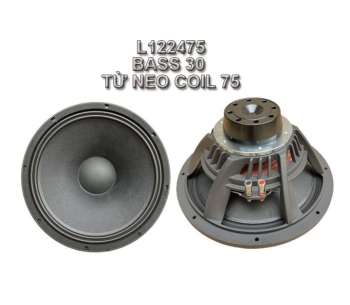Bass 30 từ Neodymium L122475