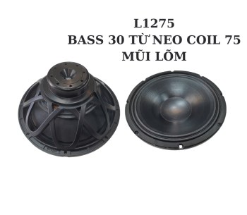 Bass 30 từ Neodymium  L11275
