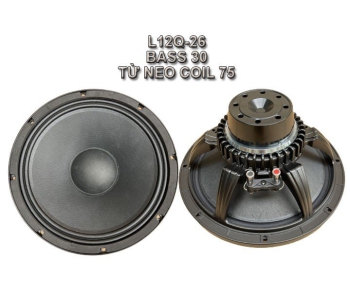 Bass 30 từ Neodymium  L12Q-26