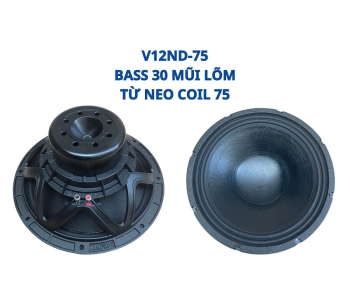 Bass 30 từ neodymium V12ND75 
