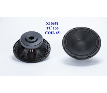 Bass 25 từ ferrite X10651