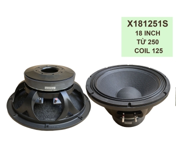 Bass 50 từ ferrite  X181251S