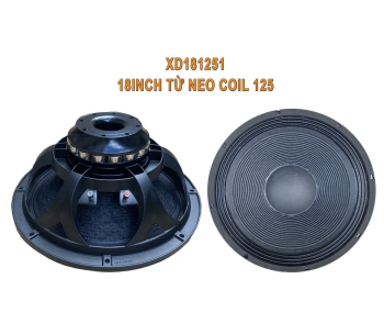 Bass 50 từ neodymium XD181251