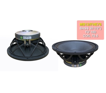 Bass 30 từ ferrite  MB12/NHE76