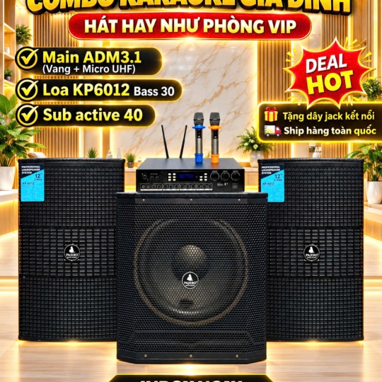 Combo karaoke gia đình ADM3.1