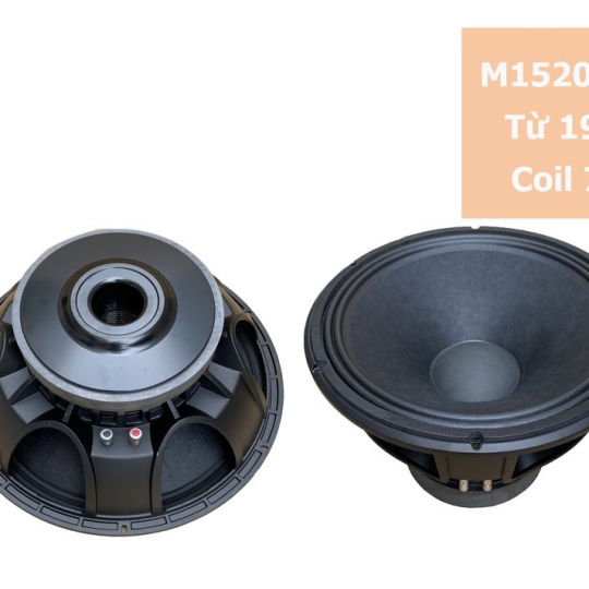 Bass 40 từ ferrite M1520075