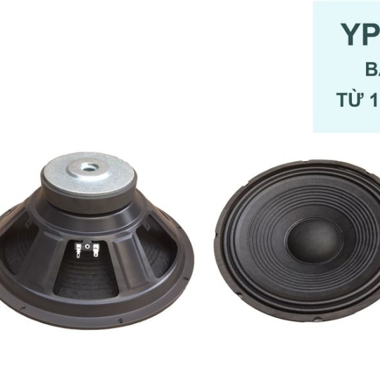 Bass 30 từ ferrit YP12-120