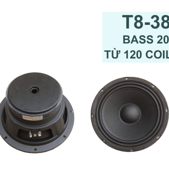 Bass 20 từ ferrit  205-8