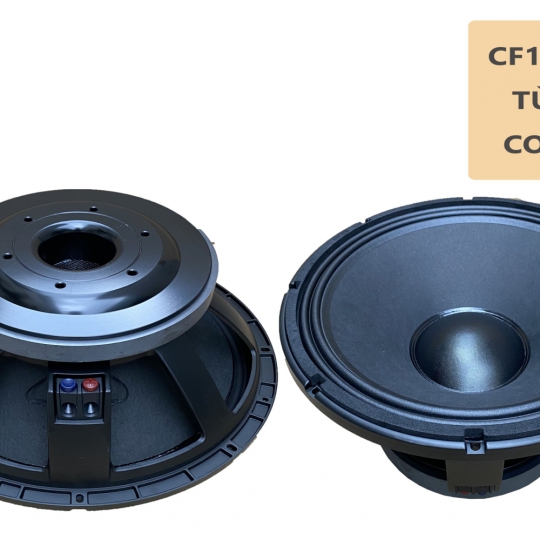Bass 50 từ ferrit CF1828125