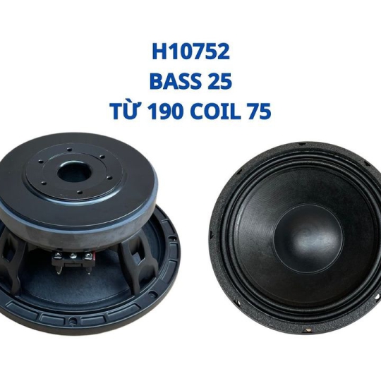 Bass 25 từ ferrite  H10752