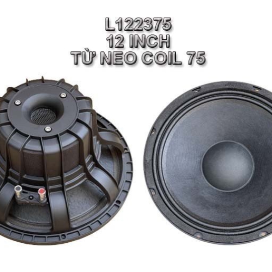 Bass 30 từ Neodymium  L122375