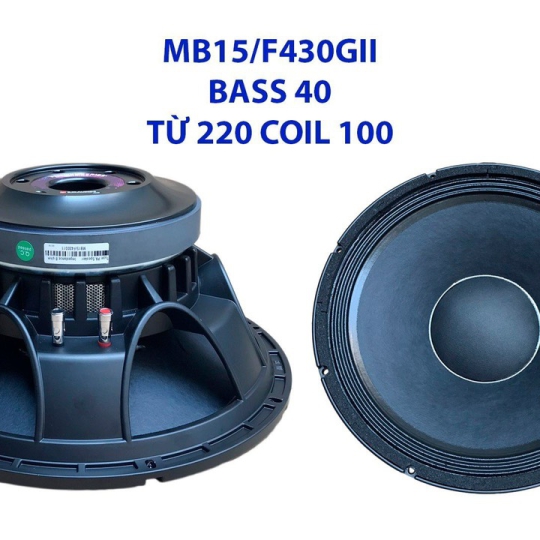 Bass 40 từ ferrite  MB15/F430GII