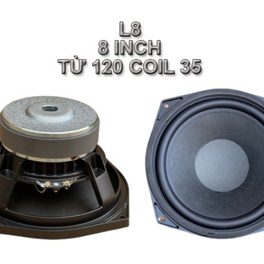 Bass 20 từ ferrite  L8-1